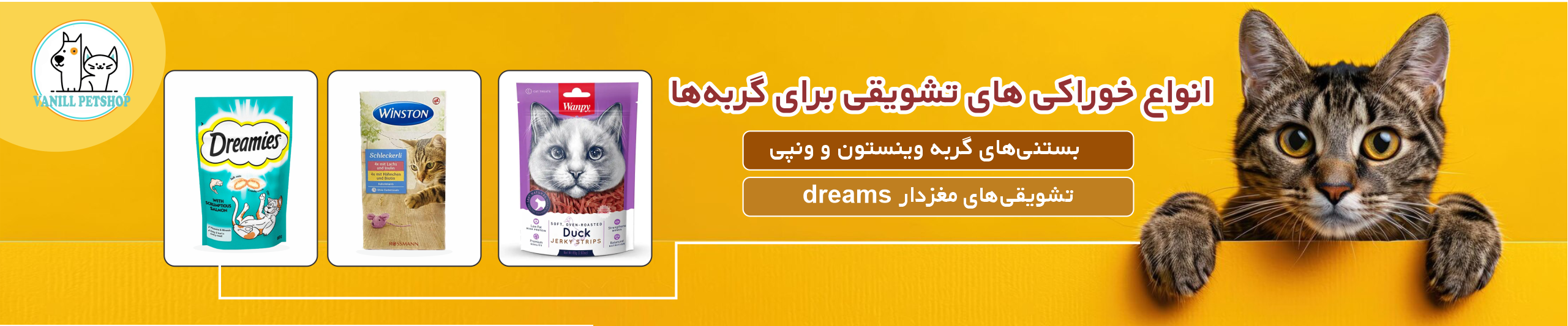 بنر تشویقی گربه